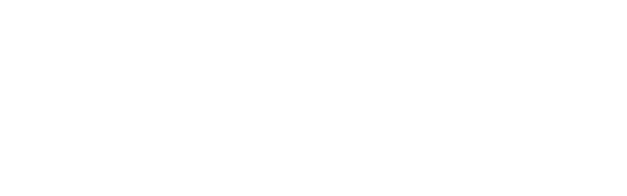 Die vier Teenager, Kim Hagen, Livia Krause, Tom Braun und Gill Lehmann erleben zusammen viele spannende Abenteuer.  Gill ist sehr begabt und hat ein detektivisches Gespr fr ungeklrte Flle. Livia  hat konstruktive Fhigkeiten, die so manch einen verblffen lassen. Kim ist  der Ruhepol in der Gruppe und sorgt in entsprechenden Momenten fr die  ntige Ordnung und Tom bringt die Leute zum Lachen, aber wenn es drauf  ankommt, entwickelt er schtzerische Instinkte.